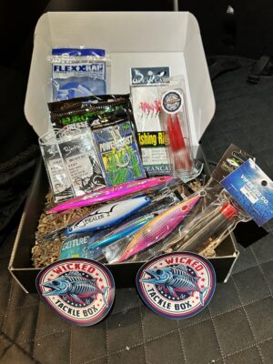 Pro- Most Popular Box 25% off quarterly subscription - Image 1